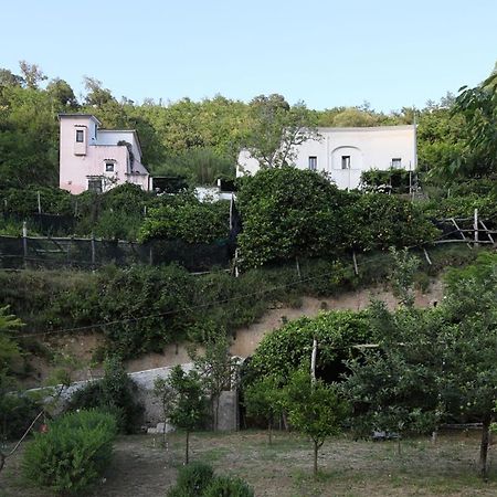 Bed and Breakfast Pietra Rosa à Tramonti Extérieur photo